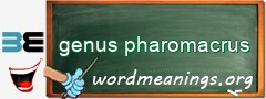 WordMeaning blackboard for genus pharomacrus